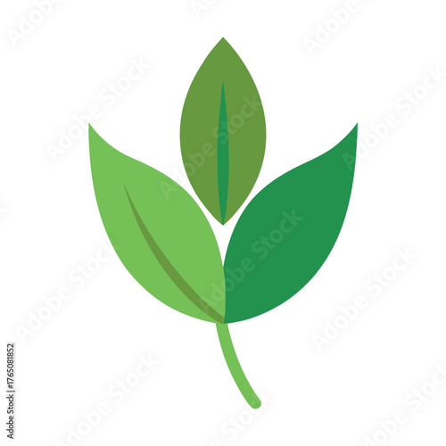 Flat Color Tea Leaf Illustration Minimalist Vector