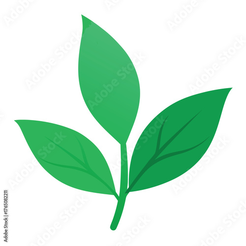 Green Tea Leaves Flat Design Botanical Artwork