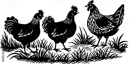 Hens on grass field, interacting in natural environment, showcasing details like feathers and grass textures. Concept of natural farming and poultry raising in rural settings.