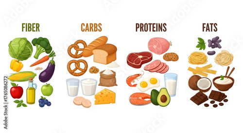 Macronutrient food chart illustration with icons Educational infographic showing fiber carbs proteins and fats categories of foods for healthy diet learning