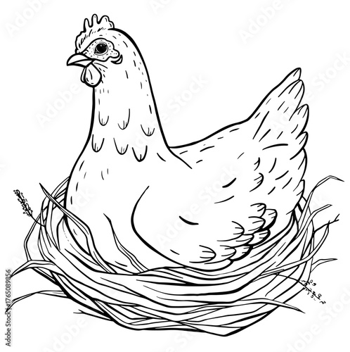 Hand drawn illustration of a sitting farm hen resting softly in a straw nest. Vintage rustic village style sketch. Suitable for farming education, packaging, children books or countryside design.