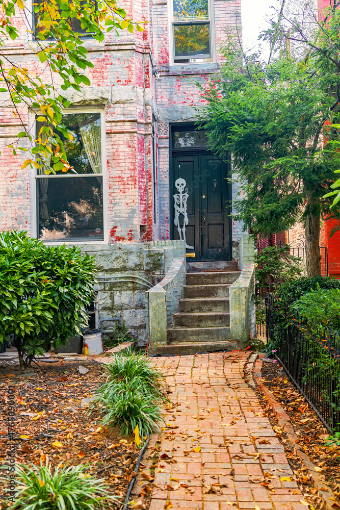 Fototapeta premium Charming brick home with fall foliage on the front path in a quiet Washington DC neighborhood.