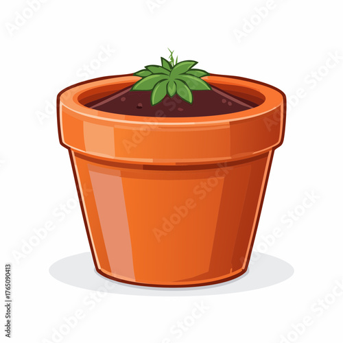 Small terracotta planter
