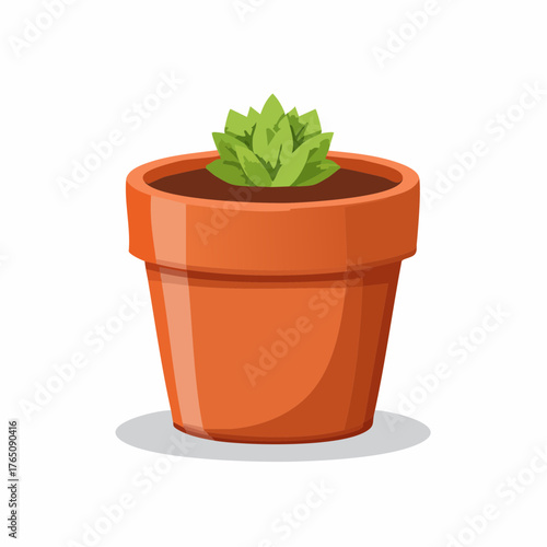 Small terracotta planter

