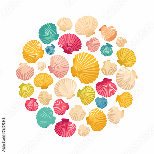 Pile of seashells arranged in circle
