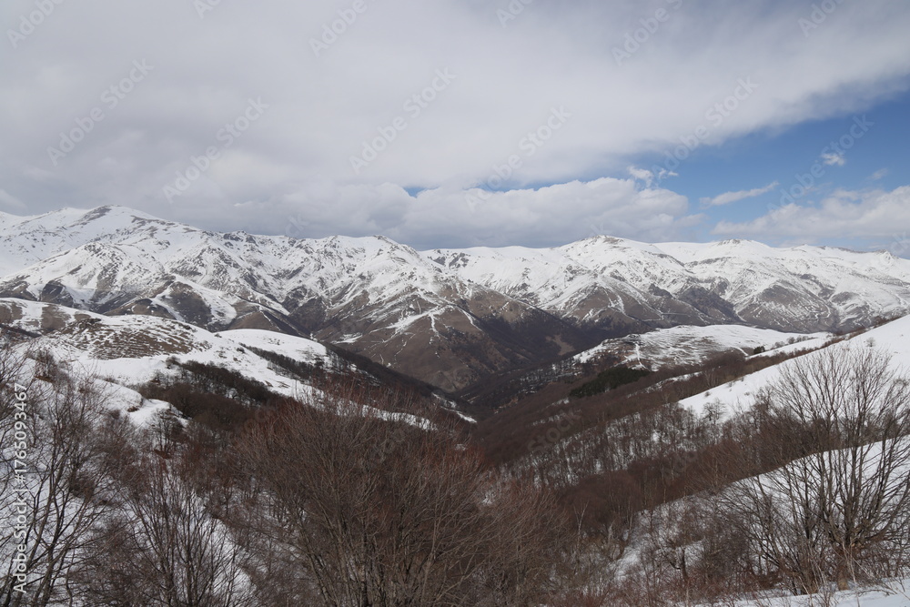 Fototapeta premium Mountain valley with snowy peaks and bare trees, Lori, Armenia