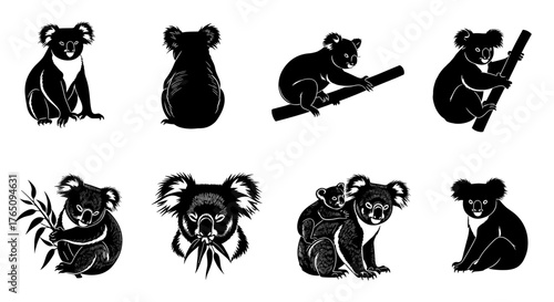 Adorable koala illustrations capture playful poses and mother-child bond, perfect for charming designs and wildlife themes