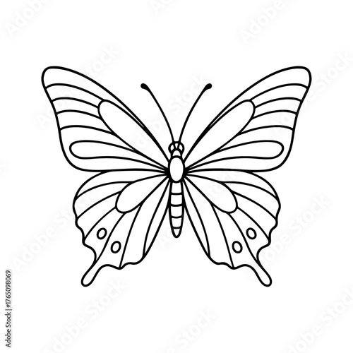 Simple black and white line art of a beautiful butterfly with open wings. A minimalist contour drawing illustration isolated on a white background