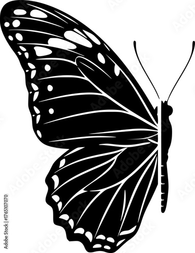 Half butterfly silhouette. This image shows a black silhouette of half a butterfly with detailed wings and antennae, also referred to as a butterfly outline. Vector clipart black illustration design. 