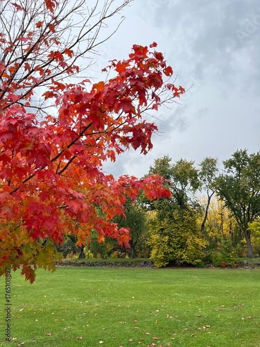 Autumn on a rainy day