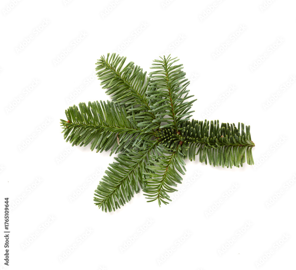 Naklejka premium Christmas tree branch isolated on white, top view
