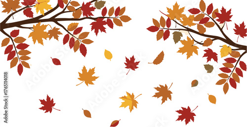 Autumn leaves falling from tree branches, a vibrant seasonal illustration depicting the changing colors of fall foliage