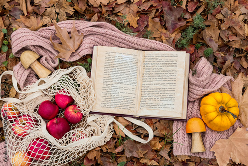 Book with scarf and apples ...