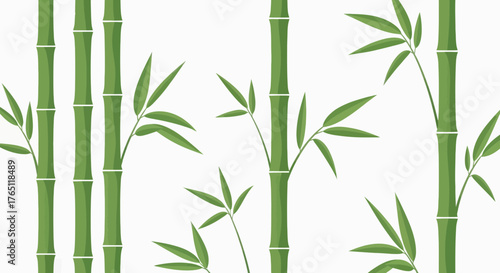 green bamboo leaves