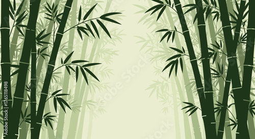 bamboo vector illustration