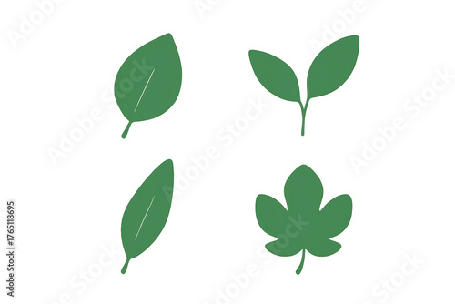 Green leaves illustration set, different shapes, fresh botanical foliage, natural elements on transparent background