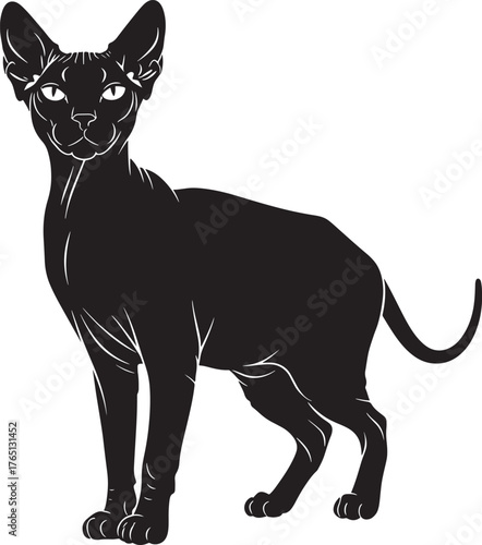 Striking black sphynx cat silhouette design elegant hairless feline artwork unique domestic pet illustration standing animal graphic artistic minimal style captivating creature outline