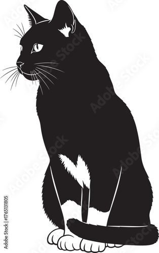 Elegant black and white tuxedo cat silhouette sitting gracefully looking sideways with white chest and paws detailed artistic rendering