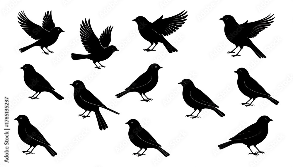 Fototapeta premium Collection of stylized black bird silhouettes, with various poses, wings open or closed