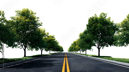 Serene tree-lined asphalt road with vibrant green foliage guiding towards an endless horizon
