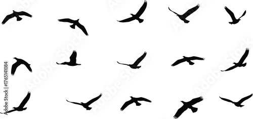 Flying bird silhouettes, bird motion vector, wing posture icons, black flight shapes, nature movement art, cad drawing flat vector illustration