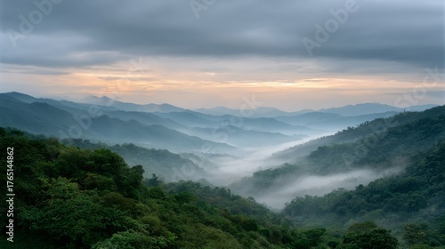 The mountains are covered in trees and the sky is cloudy