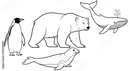 Illustration of a penguin, bear, whale, and seal