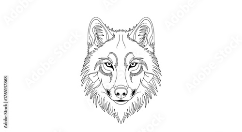 Illustration of a wolfs head with detailed fur