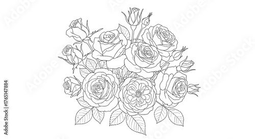 Vector art of a beautiful bouquet of roses, with delicate petals