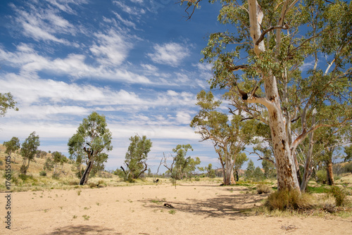 Fototapeta Naklejka Na Ścianę i Meble -  Dry reiverbed, Simpson's Gap. Northern Territory, Australia