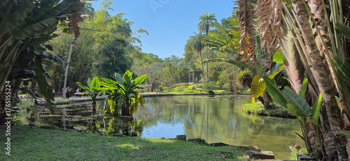 Photos The fauna of the Rio Botanical Garden enchants with birds, monkeys, insects, and reptiles, living in harmony with the rich vegetation of the preserved Atlantic Forest