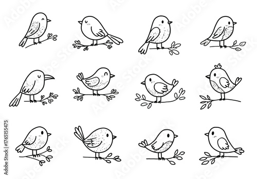 Birds on Branches Doodles Black and White Line Art Illustrations