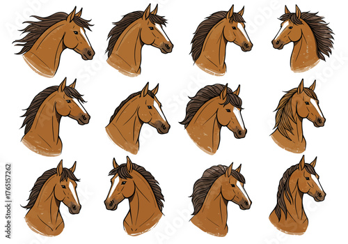 Horse Head Variety A Colorful Collection of Equine Profiles