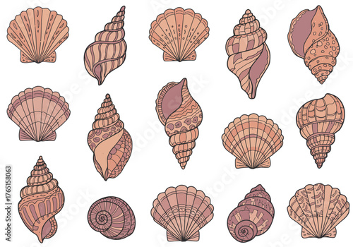 Variety of Seashells Illustration - Coastal Beach Elements