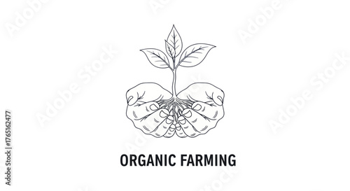 Hands holding a young plant with roots, symbolizing organic farming and growth.