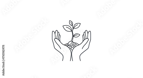 Hands cradling a growing plant representing growth and environmental care.
