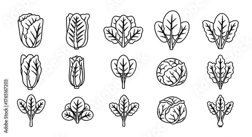 Line art illustration featuring various types of leafy green vegetables, including cabbage and spinach, arranged in a pattern.