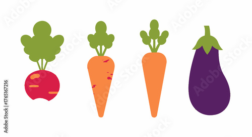 Illustration of a radish, two carrots, and an eggplant arranged in a row against a white background.