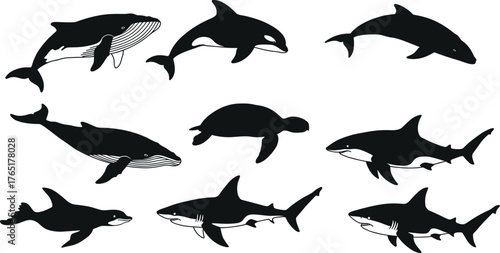 Silhouettes of whales, sharks, dolphin, orca, turtle, and penguin for ocean wildlife vector illustration, marine design, and educational content