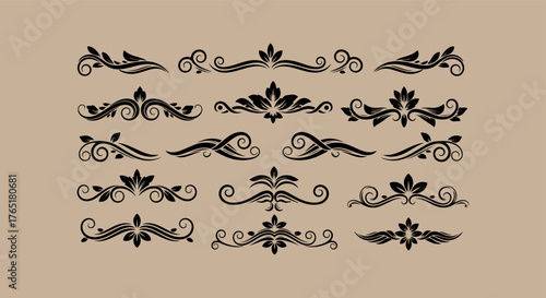 Collection of elegant vintage decorative floral ornaments and borders
