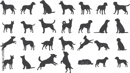 set of Dog animals silhouettes different poses illustration