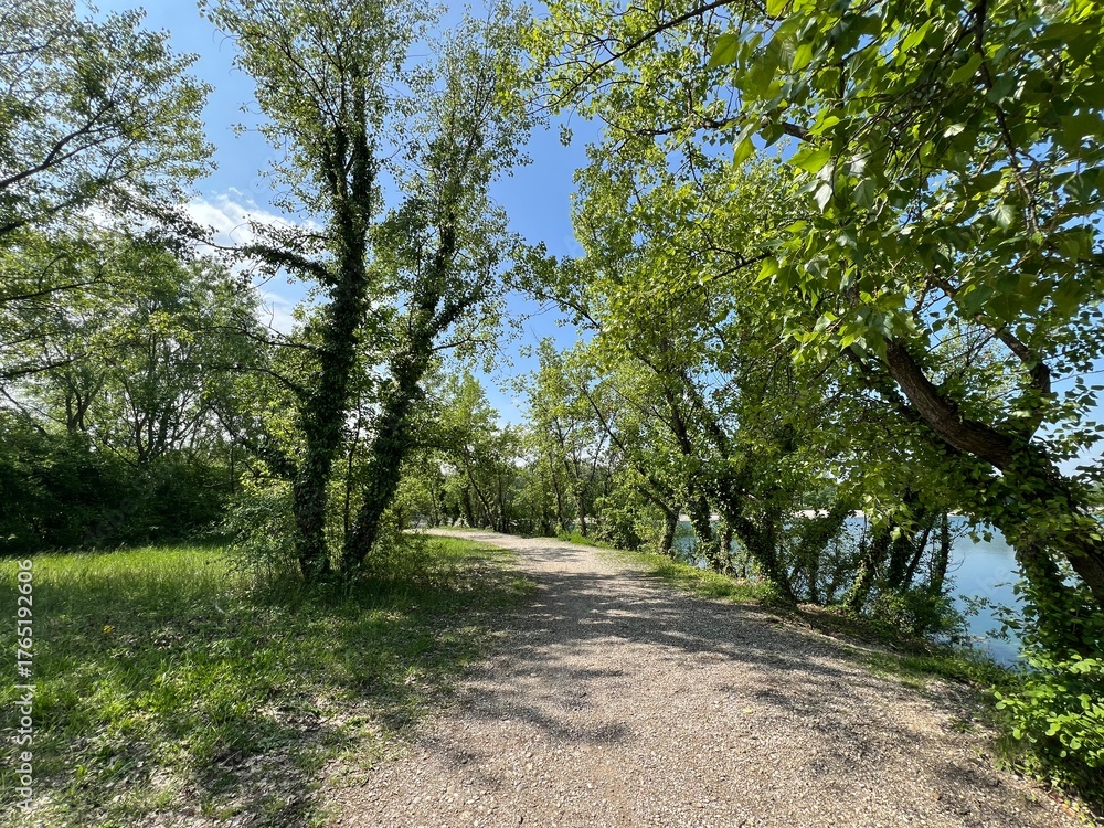 Fototapeta premium Walking and running trails around the Jarun Lake (Croatia) - Rekreacijsko sportski centar Jarun ili staze za šetnju i trčanje oko športsko-rekreacijskog centra Jarunsko jezero (Zagreb, Hrvatska)