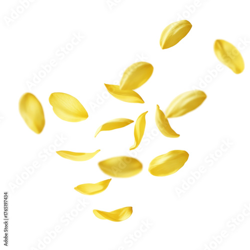 Yellow Flower Petals Scattered on Smooth Yellow Surface with Soft Lighting