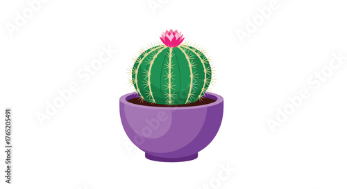 A plump green barrel cactus with a vibrant pink flower blooms in a purple pot.