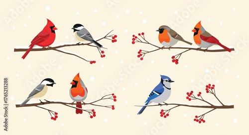 Charming winter scene showcases diverse birds like cardinals, chickadees, robins, and blue jays perched on snow-dusted branches with red berries.