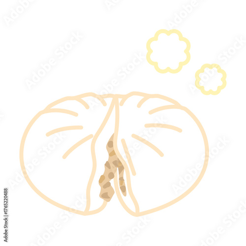 割った中華まんのイラスト