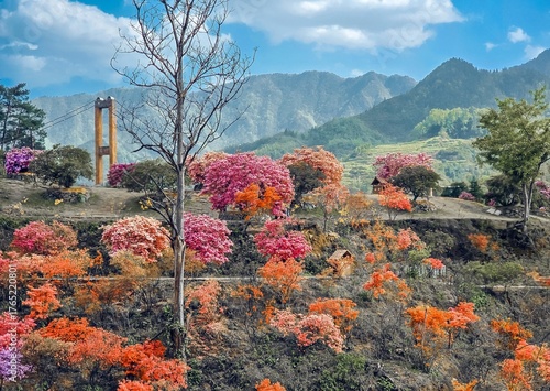 Autumn in the park.Huangling Village is an ancient village built during the middle period of the Ming Dynasty, located in Jiangwan Township, Wuyuan County, Shangrao City, Jiangxi Province.Chian.