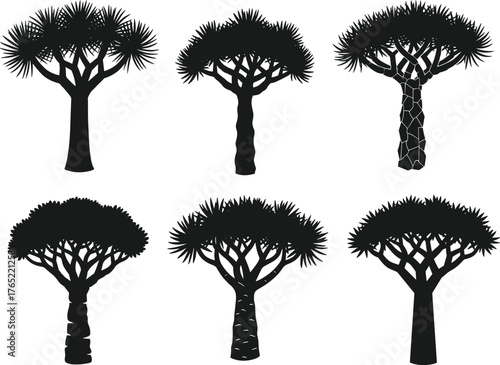 Dragon tree silhouettes, black and white illustration, Dracaena draco design, botanical structure concept, nature inspired artwork, minimal style, artistic foliage layout, landscape element