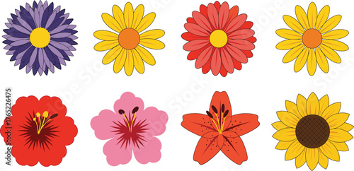 Collection of Eight Colorful Stylized Flowers on White Background Keywords: flower, floral, bloom, blossom, nature, garden, petal, colorful, daisy, aster, sunflower, lily, poppy, decorative
