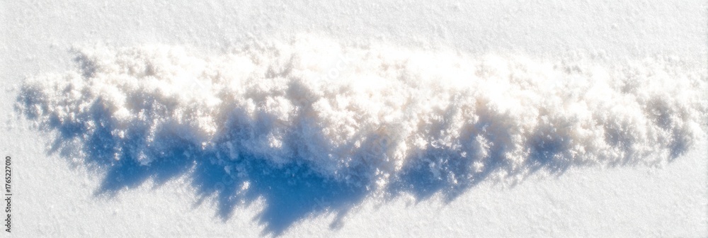 Obraz premium Premium Winter Solstice Frost Pattern Elegant White and Blue Gradient for Authentic Holiday Marketing Content